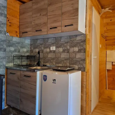 Evergreen Golija Hébergement de vacances *